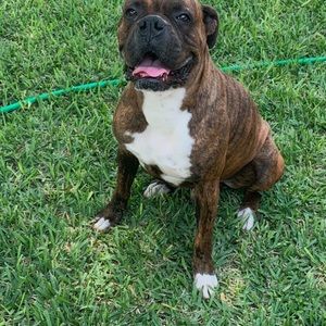 Meet your Posher, Jonathon